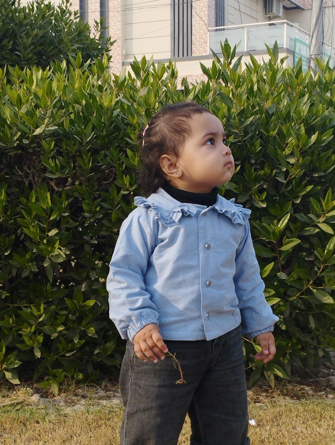 @aminakamran18